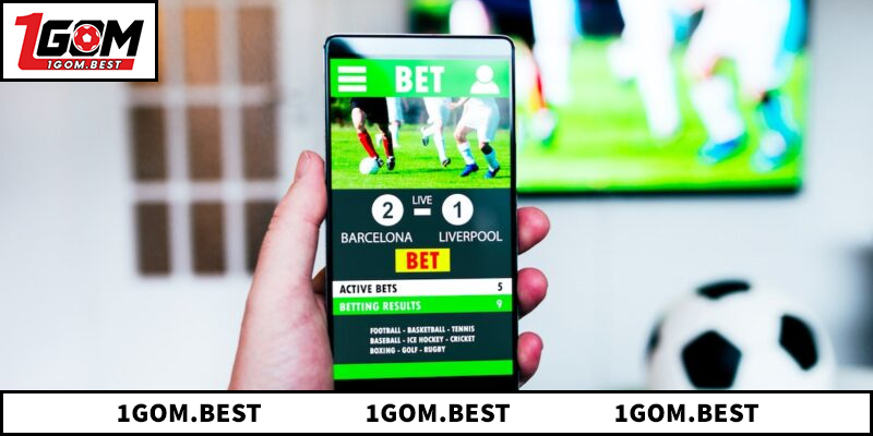 Tìm hiểu chi tiết về hệ thống livescore