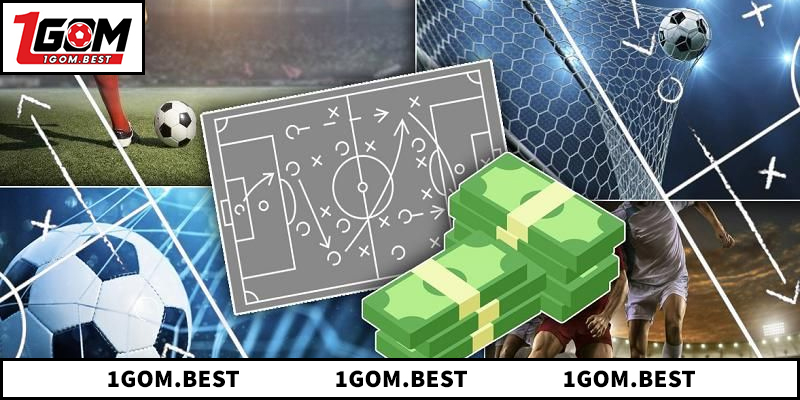 Tổng quan về bảng xếp hạng 1GOM